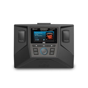 Polaris RZR 3-Speaker Audio System (2014+)